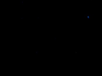 somatik  16-11-2021 video domme